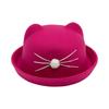 Autumn/Winter Kids' Cute Cat Ears Fedora: Korean/British Style Sunshade Wool Felt Fisherman Hat for Boys and Girls.