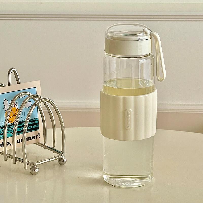 Shangqi High Borosilicate Glass Tea Cups with Infuser (Set of 2)