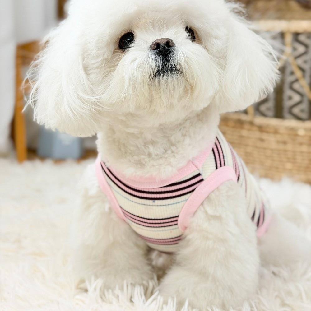 Comfortable Dog Cooling Vest Round Neck Pet Pullover Cute Summer Dog Clothes  Four Seasons