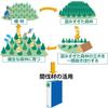 KOKUYO Fu-RTK680B Tube File <Eco Twin R> Made of Thinned Wood A4 Length 80mm 800 Sheets Capacity Blue