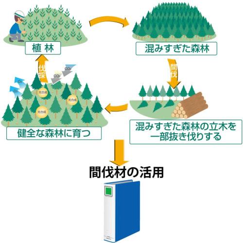 KOKUYO Fu-RTK680B Tube File <Eco Twin R> Made of Thinned Wood A4 Length 80mm 800 Sheets Capacity Blue