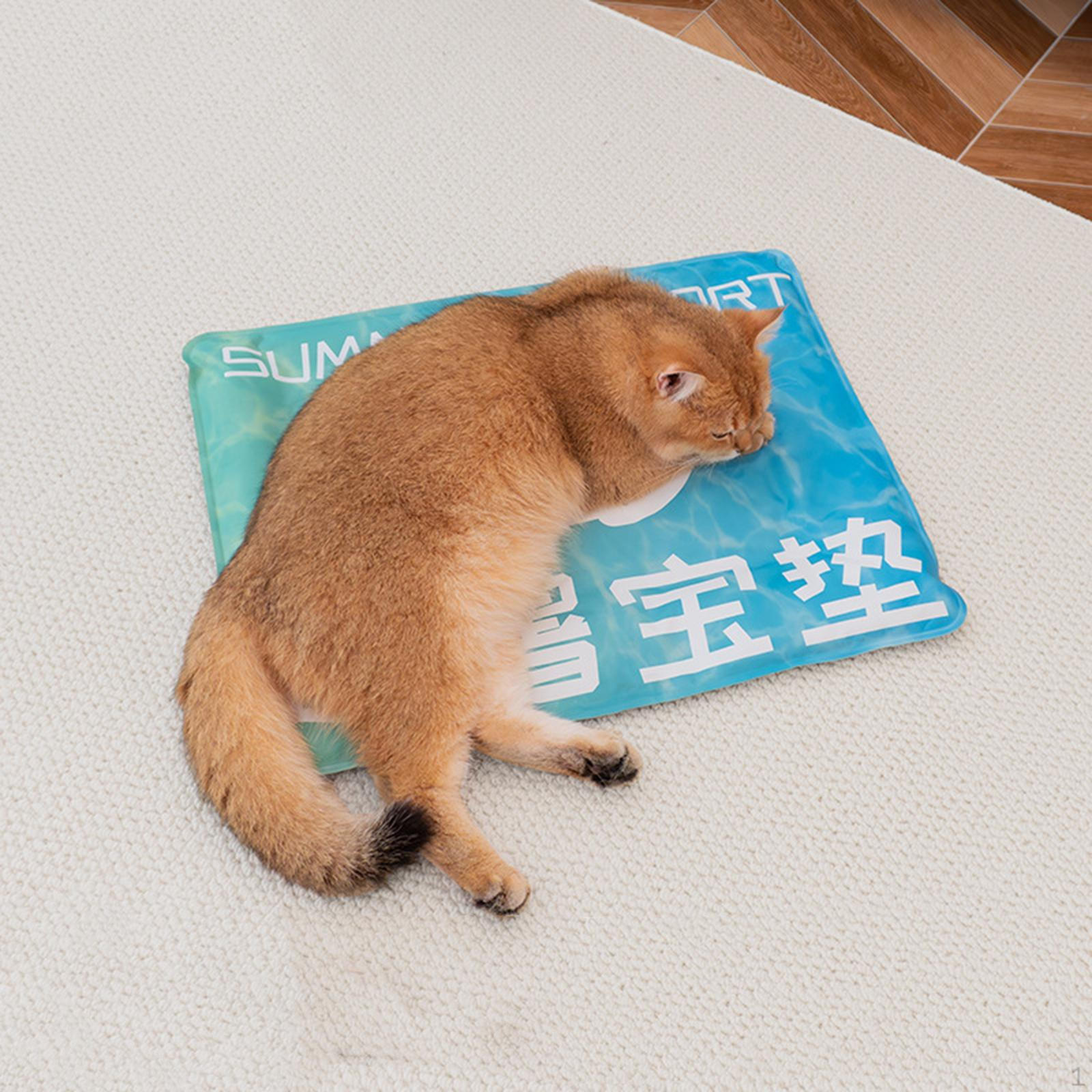 

Охлаждающий коврик для собак, одеяло для кошек, удобная ледяная подушка для сна, лето для дивана 40cmx50cm