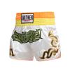 Muay Thai UFC Sanda Summer Training Boxing Shorts - MMA Fight Gear