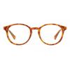 Pld D498 086 Unisex Eyeglasses
