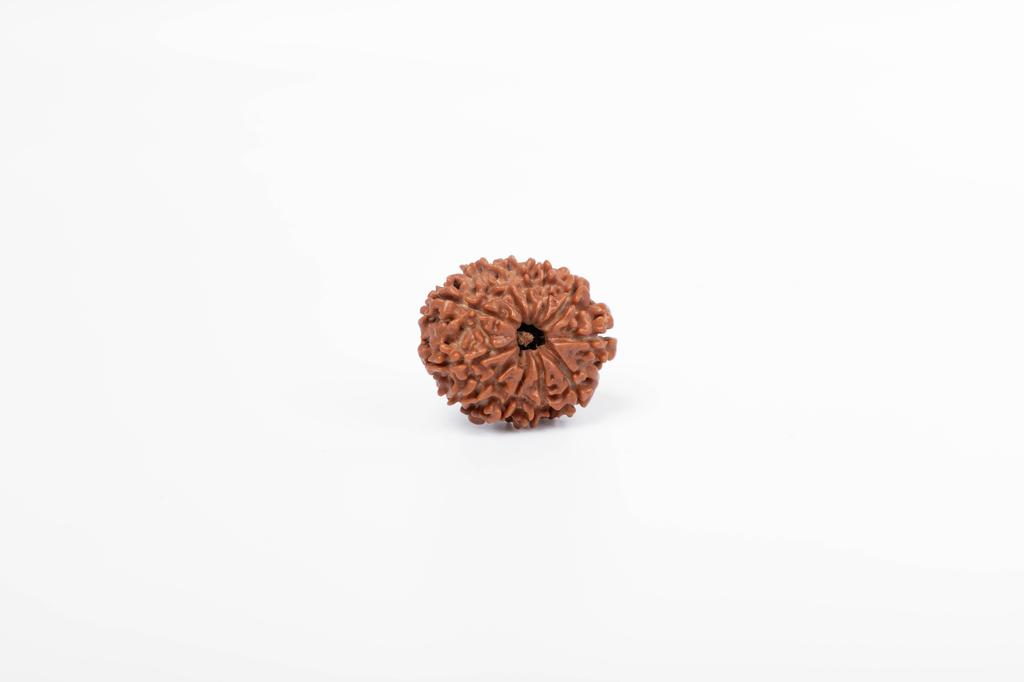Natural 11 Mukhi Rudraksha Bead – Nepali Origin | Energized Bead for Lord Hanuman Blessings, Courage & Fearlessness | Organic & Lab Certified