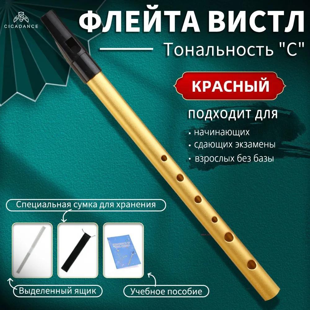CICADANCE Píšťalka na flétnu, Černá, Tónina C, Nástroj se 6otvorovou flétnou, Kovový hudební nástroj