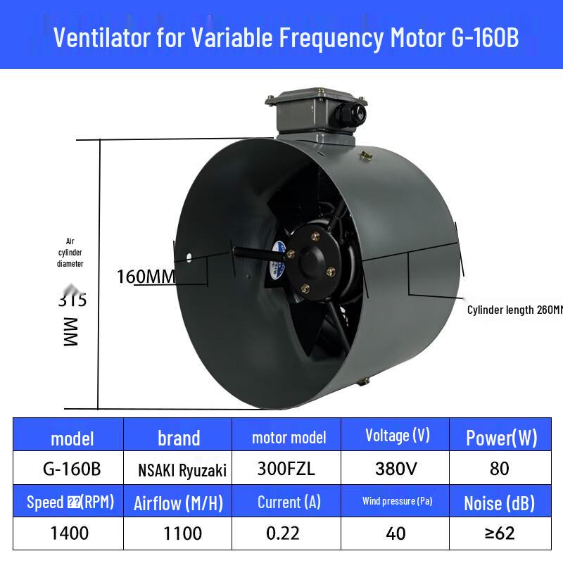 G-Type Variable Frequency Motor Cooling Fan