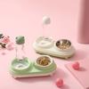 Dual Purpose Cat Drinking Bowls Spill Proof Cat Feeding Bowl Cat Double Bowl  Home