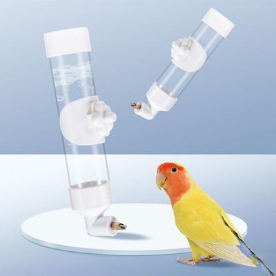 Pájaros – Alimentación y suministros de riego