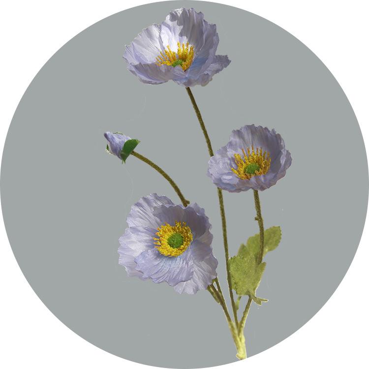 

Simulation of Four Head Plum Blossom Simulation of Fake Flowers Plucking Simulation of Poppy Flowers Rural Home Decoration 5pcs светло-синий