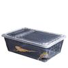 Reptile Terrarium Box Snake Spider Gecko Frog Lizard Turtle Insect Breeding Case Pet Supplies Habitat Tank