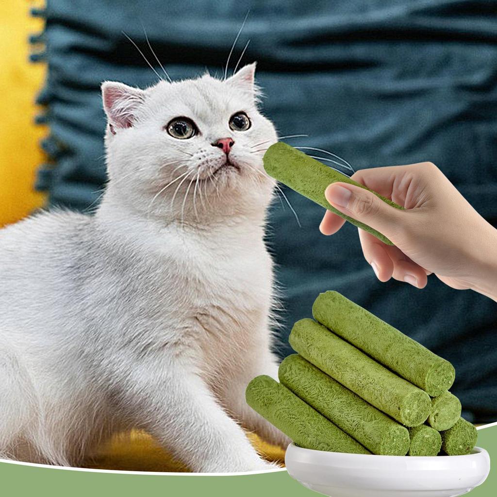 Cat Grass Teething Sticks Teeth Cleaning Cat Grass Stick Cat Food Natural Hairball Removal Chew Toy Cat Teeth Cleaning Sticks