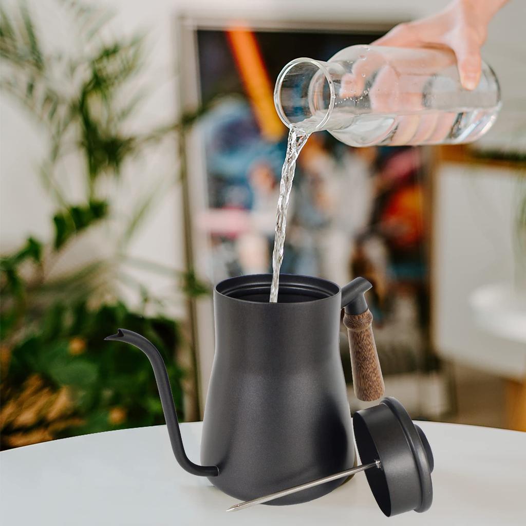 SOTECH Black Stainless Steel Water Bottle with Thermometer - Wooden Handle Drip Coffee Pot - Goose Neck Shape Cold Brew Pot (850ml)