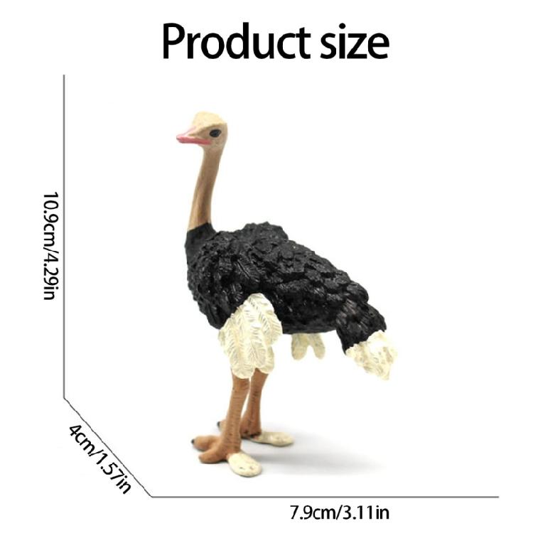 Ostrichs Figurine Realistic Plastic Wild Animals Ostrichs Model Educational Learning Toy Ostrichs Models Birthday Gifts