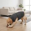Pet Supplies Elastic Dog Anxiety Vest Reflective Warm Dogs Calming Jacket Soft Windproof Pet Anti-Scare Pullover Rainy Day