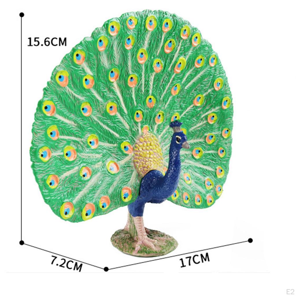 Animal Sculpture, Ornament Crafts, Kids Toy, Realistic Peacock Model, Hand Painted for Office,