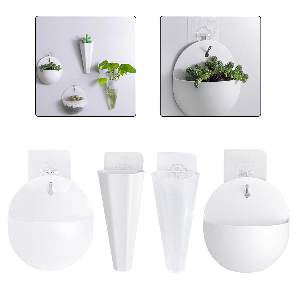 Kreative Wandpflanzer für Kräuter Sukkulenten und kleine Blumen für den Innenbereich