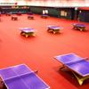 Enlio Professional Table Tennis Floor Mat 5.5mm