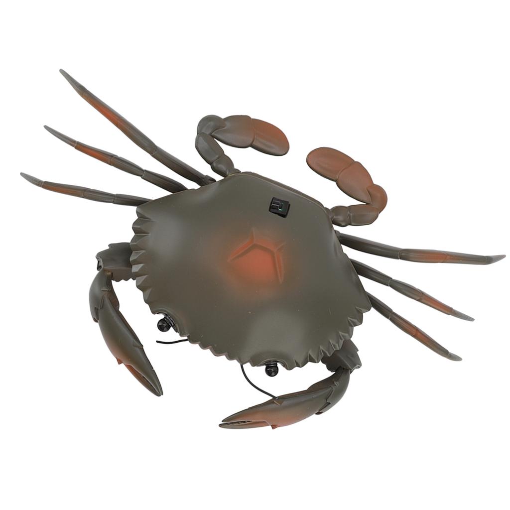 RC Crab Toy Educational Simulated Sea Life Animals Electric Crab Animal Model for Kids Birthday