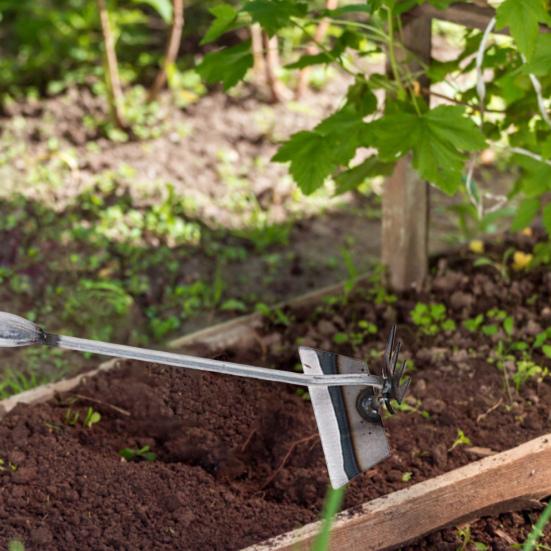 

Инструмент для удаления сорняков в саду, простой в использовании, прочный, острый, портативный, инструмент для удаления сорняков для домашнего хозяйства на заднем дворе