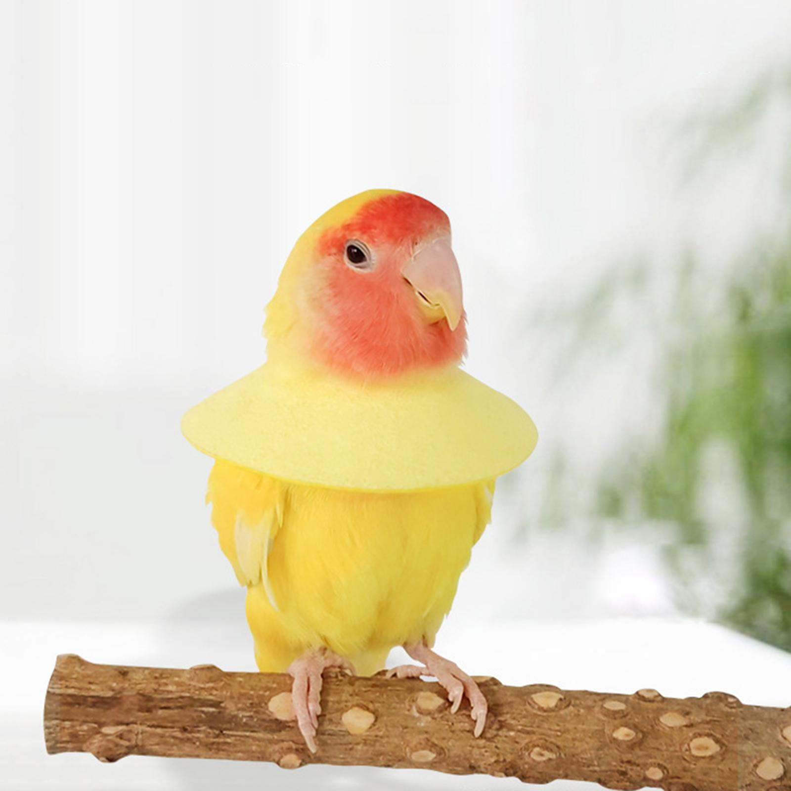 

Ошейник против укуса попугая для восстановления волнистого попугайчика и кореллы XL