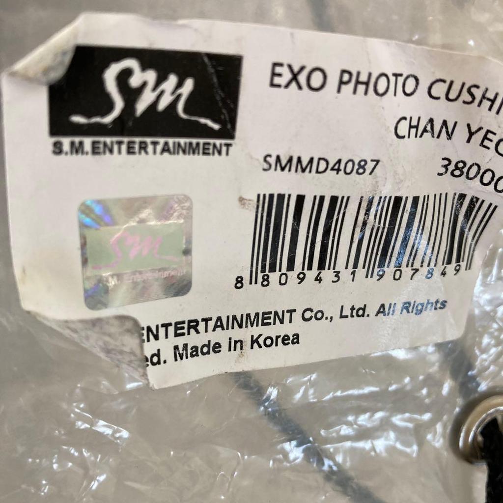 [USED] EXO PHOTO CUSHION Xiumin (Official). No bag included.