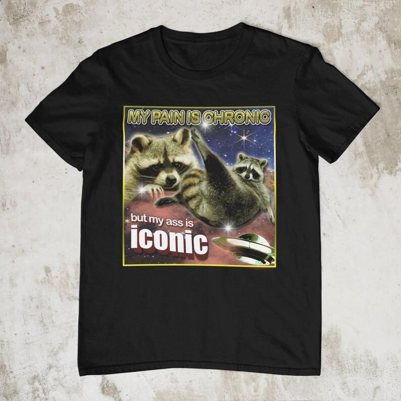 My Pain Is Chronic But My As$ Is Iconic Meme Shirt Raccoon Gildan 5000 5XL New L