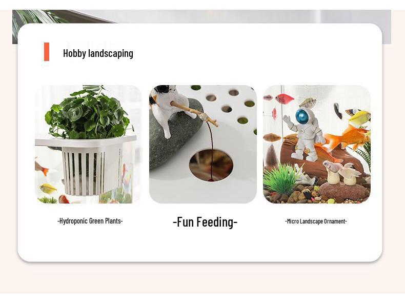 Transparent Plastic Desktop Aquarium: Small Ecological Fish Tank for Goldfish, Ideal for Living Room or Table Landscaping