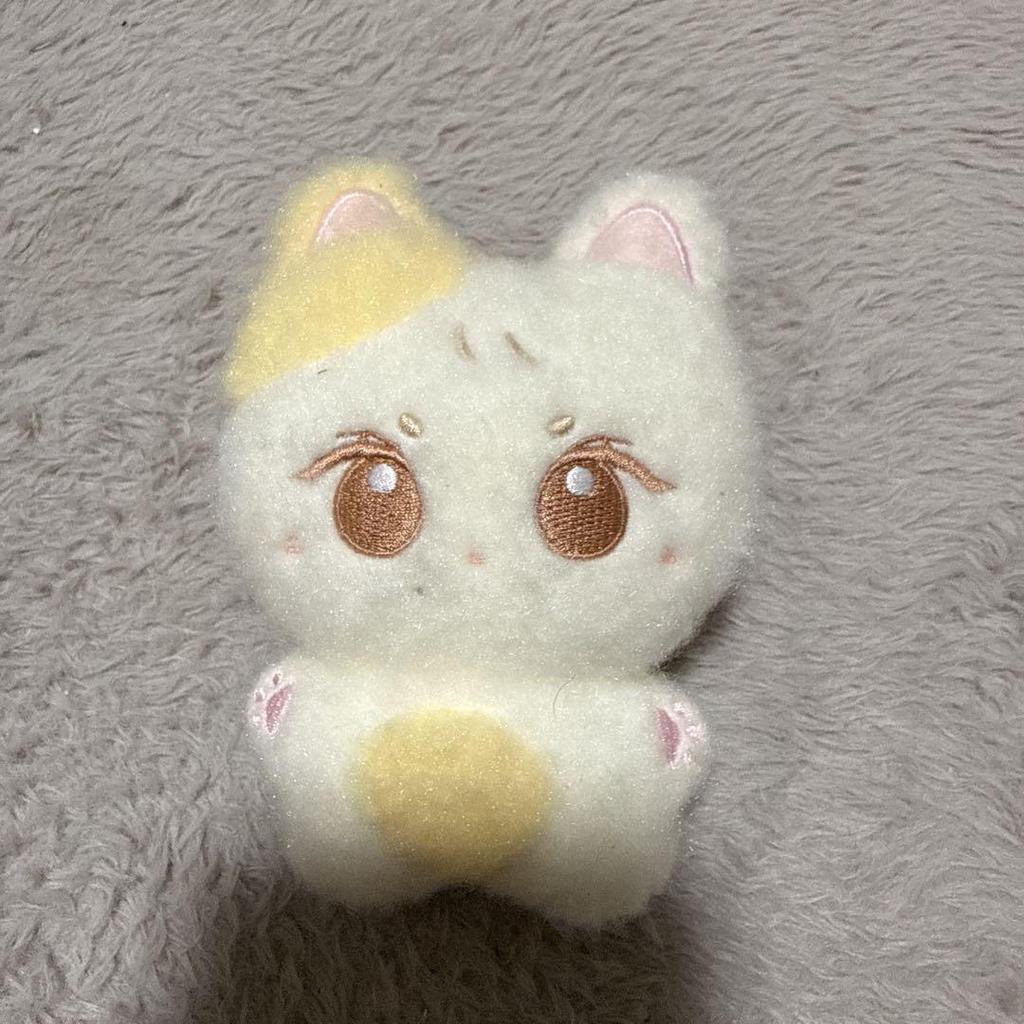 [USED] Enhypen Jungwon Plush Toy