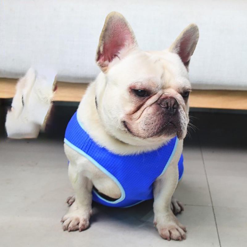 

Premium Quality Summer Cooling Jacket For Dogs Crafted From Soft Polyester Fiber M