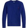 Polo Solid Slim Fit Crew Neck Long Sleeve Sweater Women Sweater 211971865-012