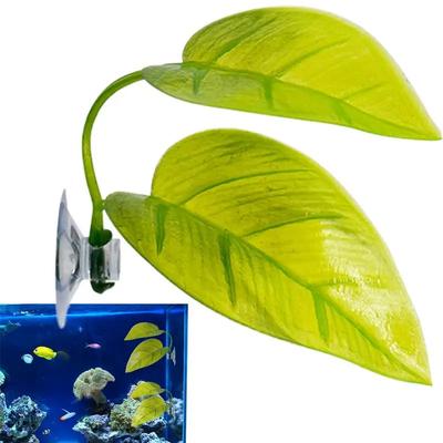 Vissen en zeedieren – Aquarium decoratie