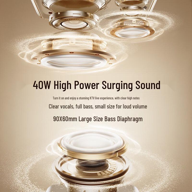 KINYO K800 Karaoke Speaker System with Dual Mics and Color Screen CN Plug (adapter Included)