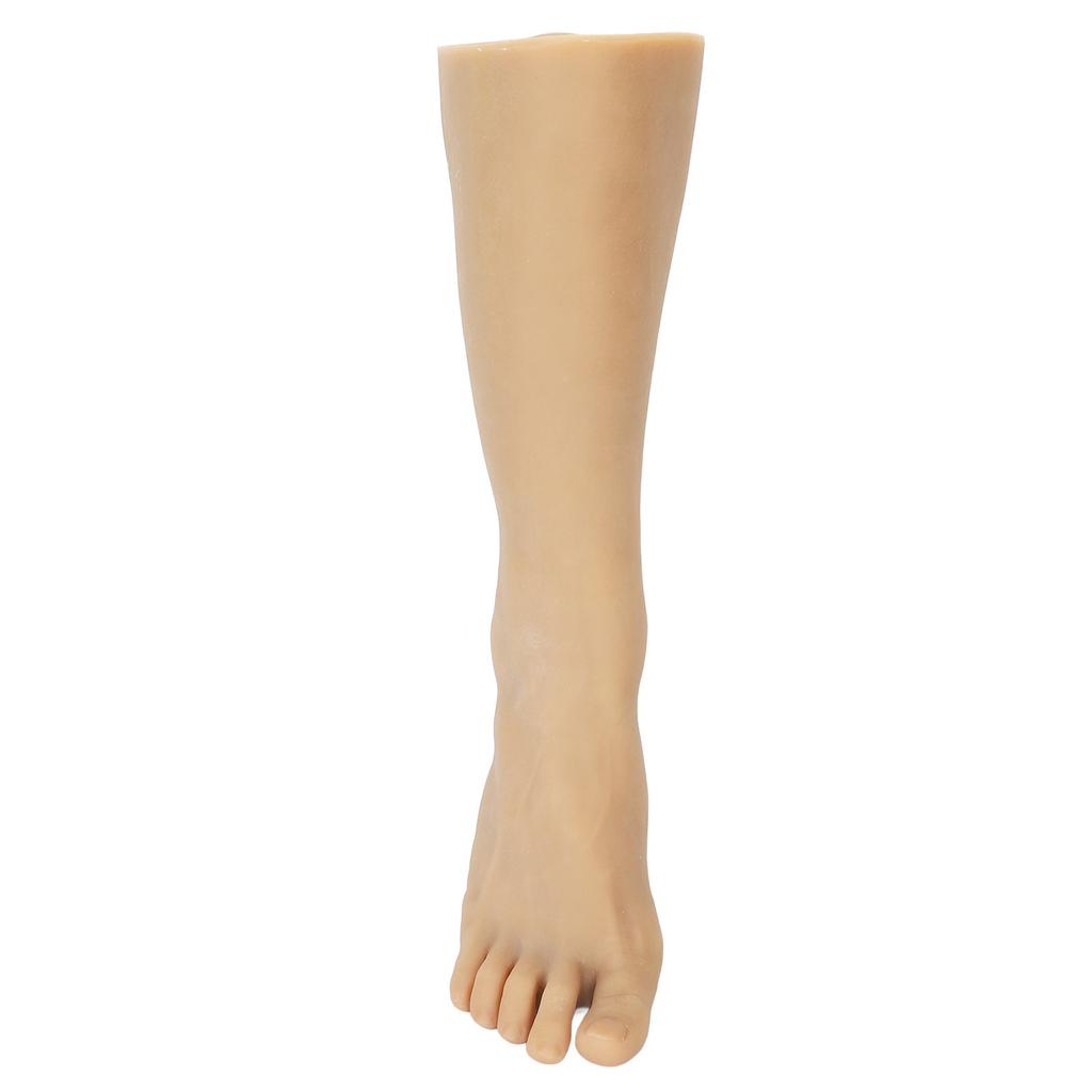 Männer Fußmodell Simulation Staubdicht Weich TPE Männliche Mannequin Fuß für Akupunktur Tattoo Übung
