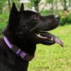 This Waterproof Dog Collar and Leash Set Is Made of High-Quality PVC Material, Which Is Durable and Wear-Resistant