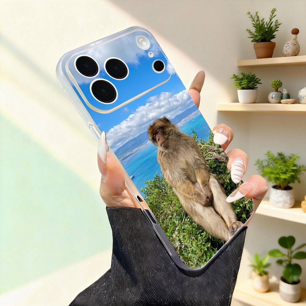 

Cute Monkey Funny For iPhone 11,12,13,14,15,16,17,Pro,Max,Plus,Mini,SE4,E Phone Case With Magsafe Wireless iPhone13
