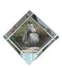 American Warmblood – Crystal Cube with a Horse Picture, Horse Picture In Crystal |