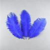 10Pcs Natural Dyed Fluffy Soft Ostrich Feather Handmade Diy Embroidery Feather Jewelry Making Dress Wedding Dress