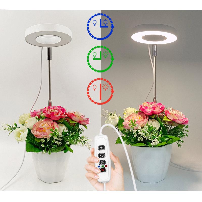 LED Angel Ring Grow Light: Retractable Full Spectrum Red/Blue for Succulents & Flowers - Includes Timer