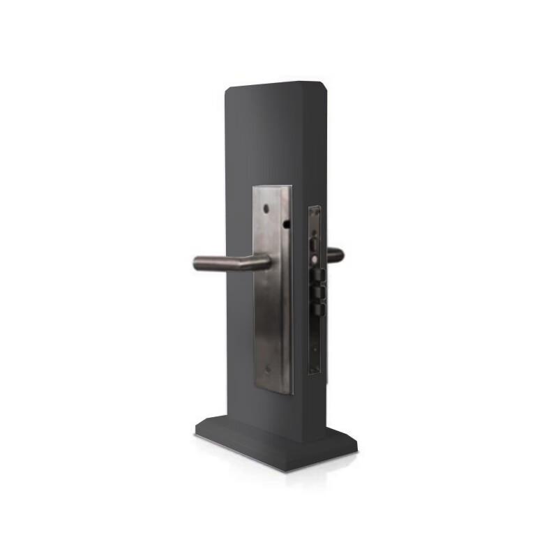 Bainarui BR-JFDZS01 Smart Door Lock
