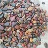 Flat Smooth Pebbles Art Painting River Rocks Natural Stones for Crafts DIY Art Supplies Garden Decoration