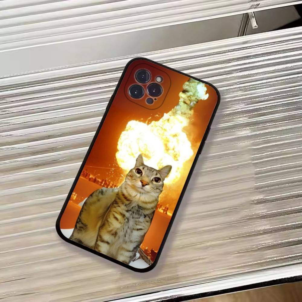 F-Lustige Tierkatze Handyhülle Silikon Weich Für IPhone 17 16 15 14 13 12 11 X XR Plus Pro Max Plus