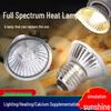 Incandescent Reptile Heating Bulb: Turtle Basking UVB & Calcium Supplement