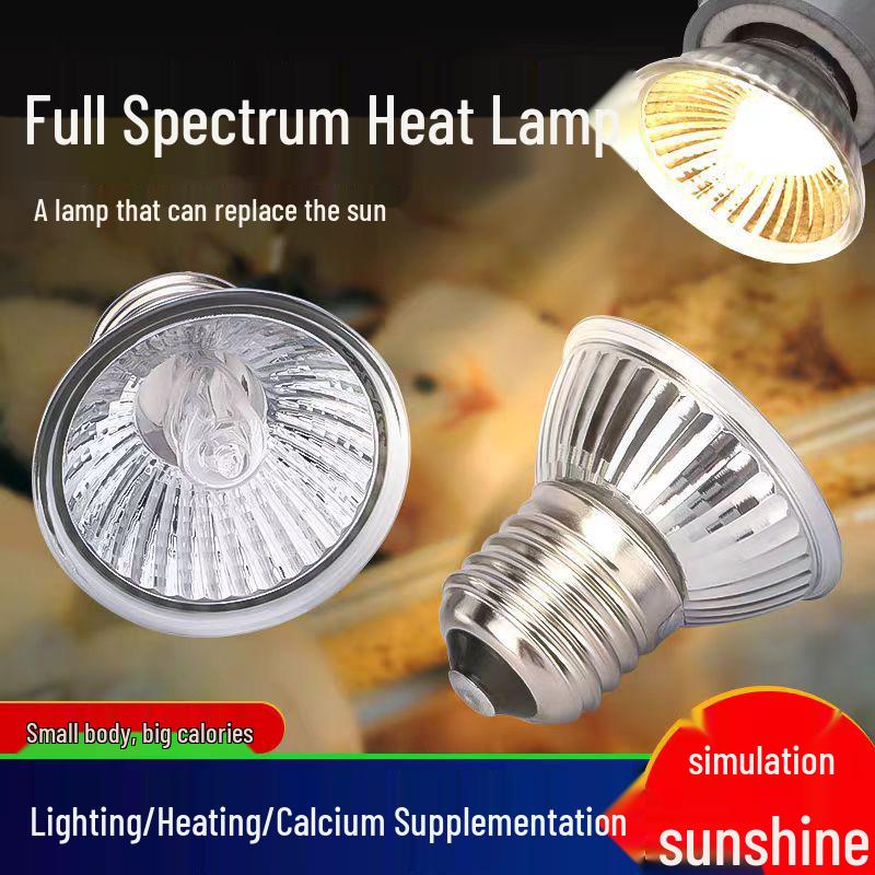 Glühbirne zur Reptilienheizung: Schildkröten Sonnenplatz UVB & Kalzium Ergänzung