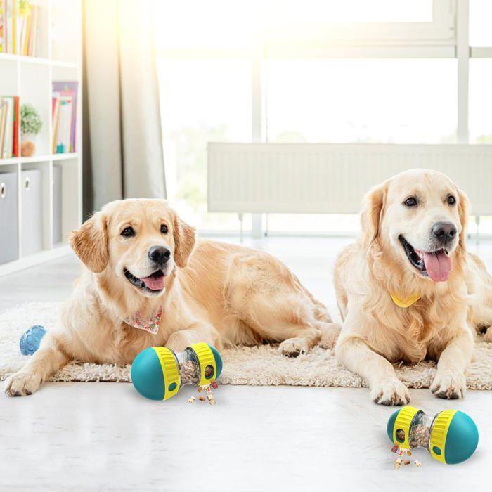 Jouet interactif pour chien - ULISEM - Distributeur de friandises - Jeux d'intelligence