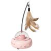 Electric Cat Interactive Toy Pet Toys with Cat Teaser Wand