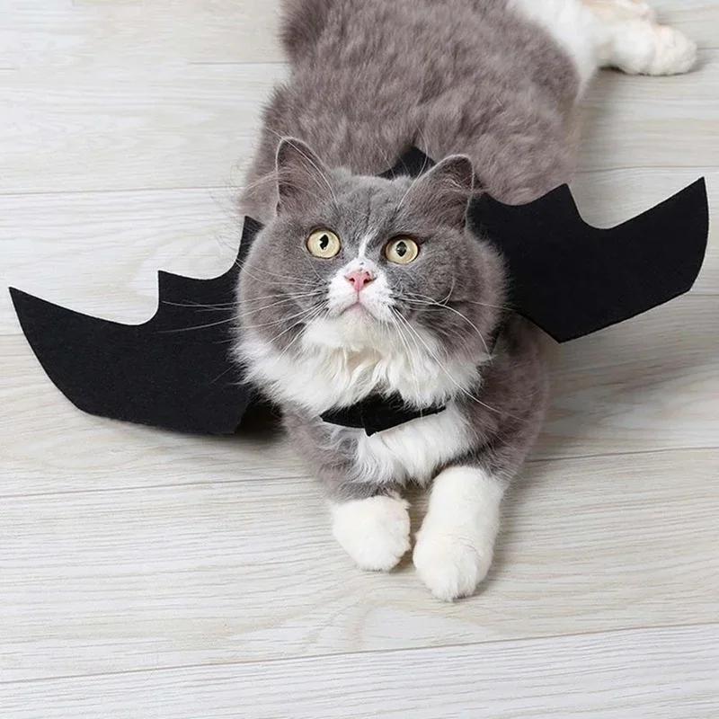 Halloween Cute Pet Clothes Black Bat Wings Harness Costume For Halloween Cosplay Cat Dog Halloween Party For Pet Supplies