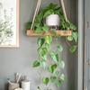 T4U 16cm Watering Set of Houseplant Watering Pot with Watering Perfect for Indoor and Outdoor Potted and Flowers Planter, Plastic, 4, Pots, Stylish,