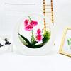 Flower Phalaenopsis Simulated Potted Moon Shaped Decorative Wall Pendant
