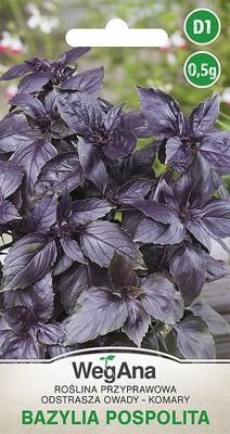 Common Red-leaf Basil 0.5g Basil Seeds -